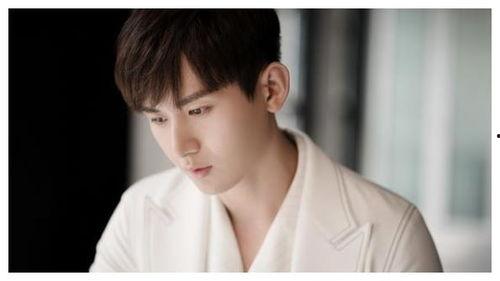 娱乐圈吃瓜成毅是谁,娱乐圈新晋小生成毅，究竟有何魅力引关注？